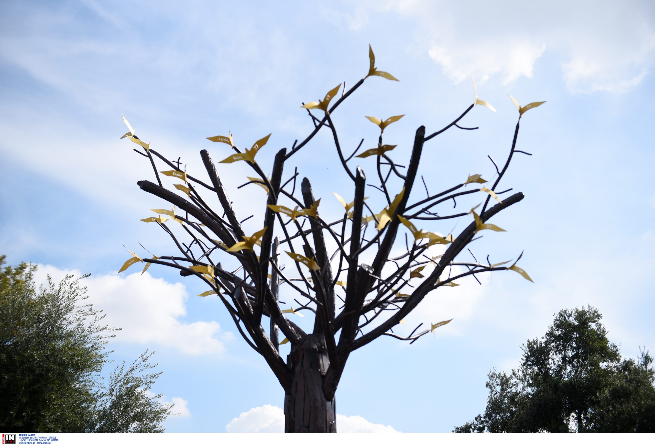 ΔΕΝΤΡΟ ΨΥΧΩΝ