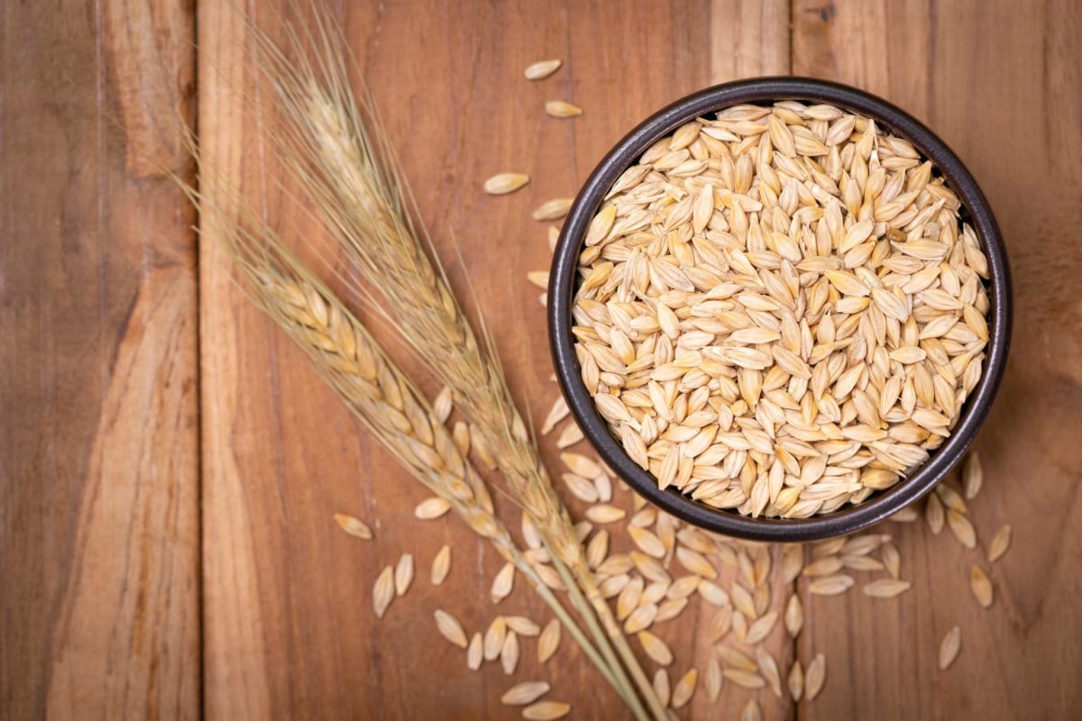 Το δημητριακό της Εύφορης Ημισελήνου που ρίχνει χοληστερίνη, πίεση και σάκχαρο και μειώνει τον κίνδυνο καρκίνου παχέος εντέρου