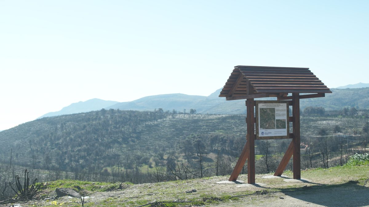 Τιμητική Διάκριση στην HELLENiQ ENERGY για την Αποκατάσταση Καμένων Δασικών Εκτάσεων