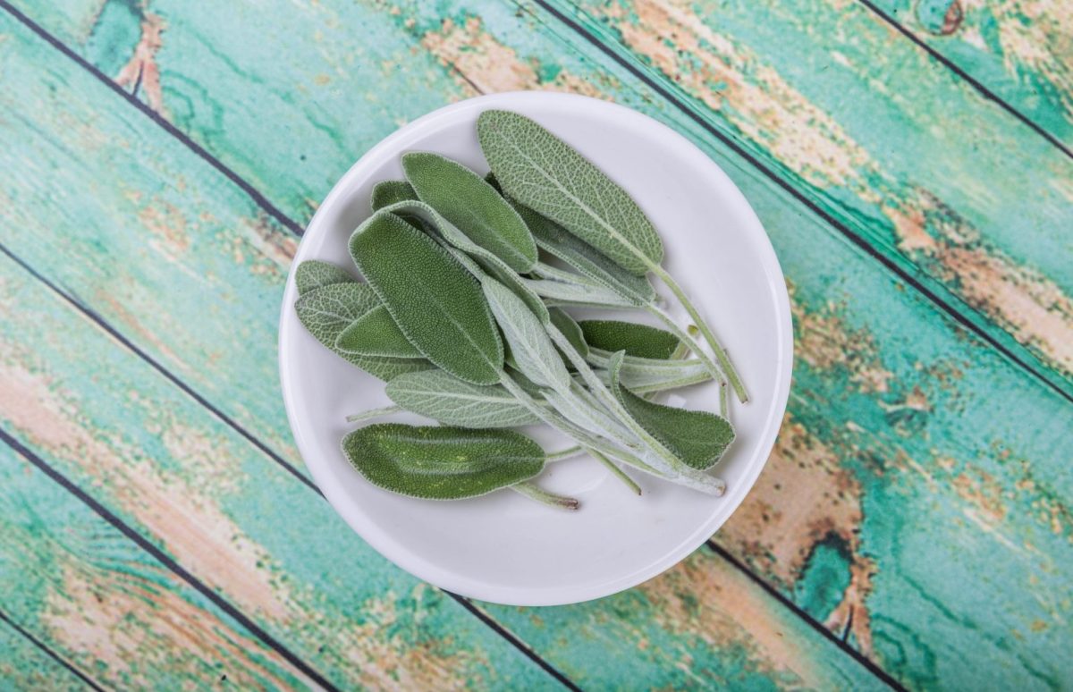 Το «φυτό της αθανασίας» που ρίχνει σάκχαρο και χοληστερίνη, προστατεύει από καρκίνο και ενισχύει τη μνήμη