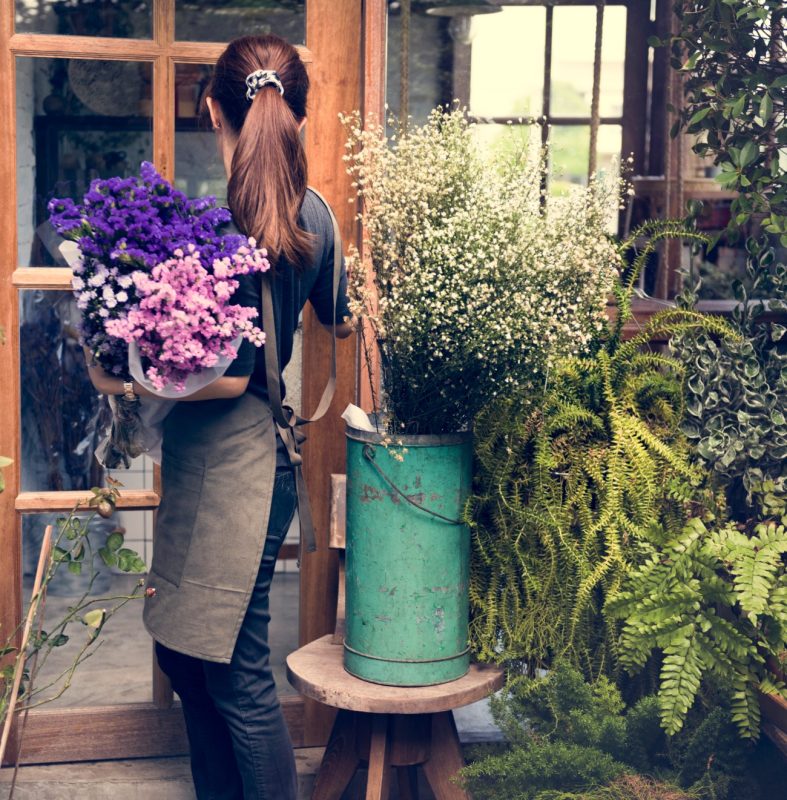 Το φυτό που θα φέρει την άνοιξη στο μπαλκόνι σας – Ανθίζει το Πάσχα και μοσχοβολά