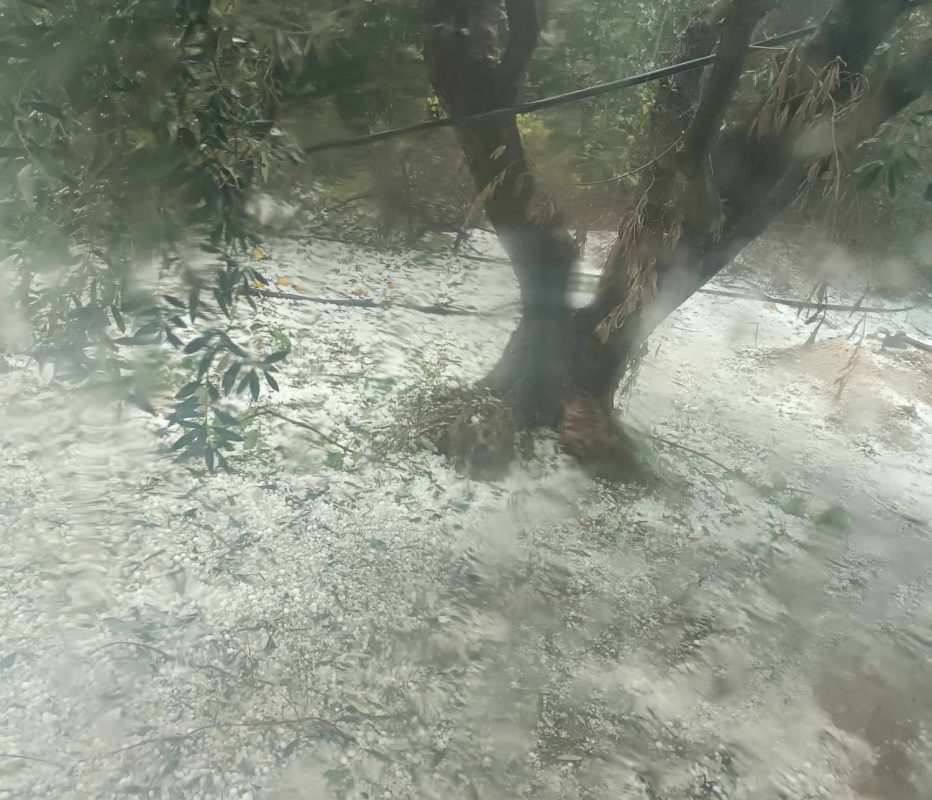 Σφοδρή χαλαζόπτωση σε περιοχές της Αιτωλοακαρνανίας – Καταστροφές σε καλλιέργειες – ΒΙΝΤΕΟ-ΦΩΤΟ
