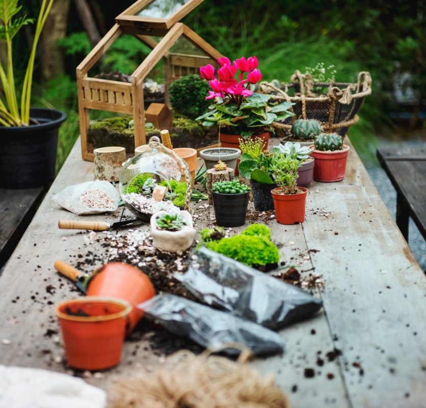 Το DIY «μυστικό» για το χώμα στις γλάστρες που κάνει τα φυτά γεμάτα άνθη