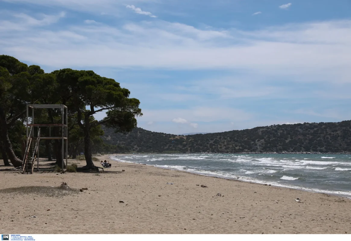 Κατεπείγουσα εισαγγελική έρευνα για παράνομες κατασκευές στο πάρκο του Σχινιά