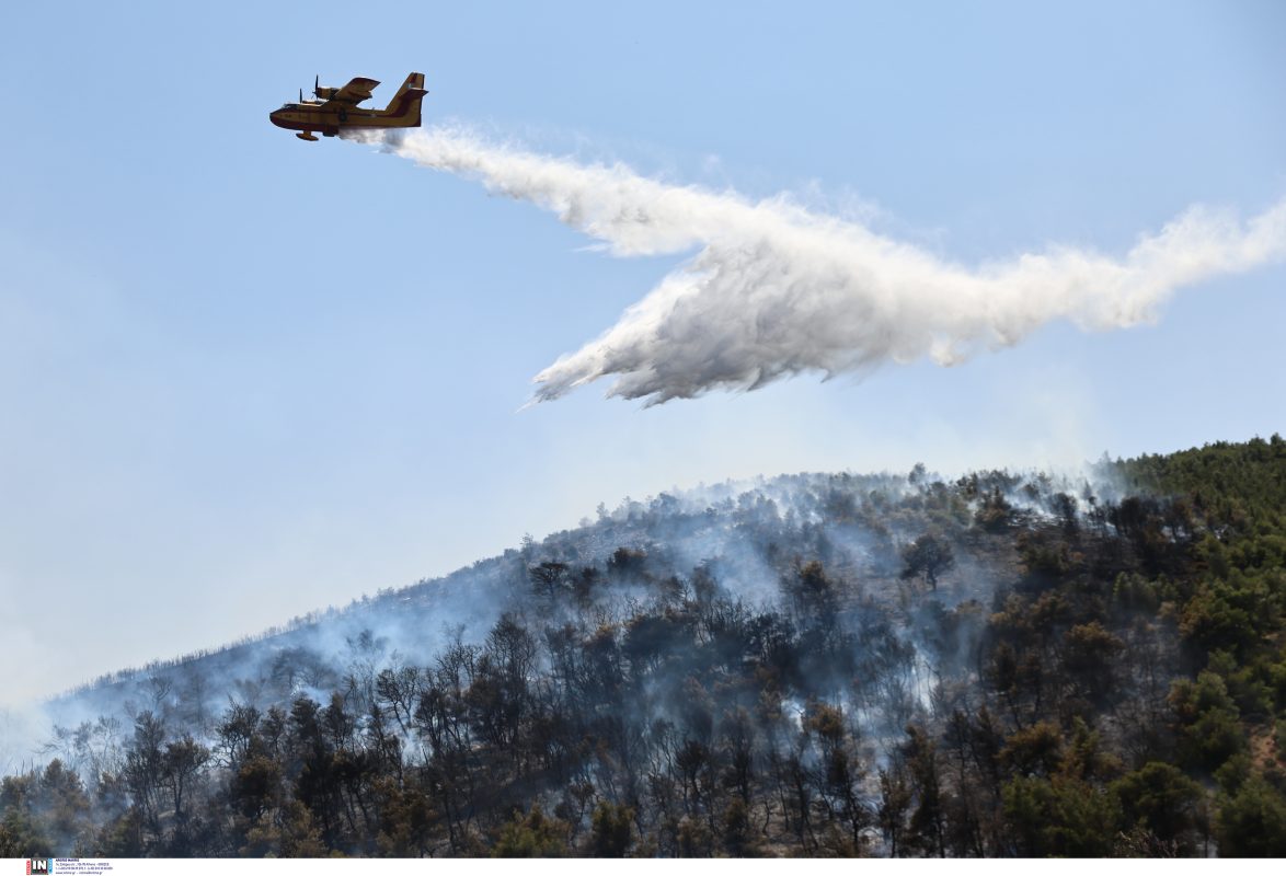 ΦΩΤΙΑ ΣΤΟΝ ΜΑΡΑΘΩΝΑ