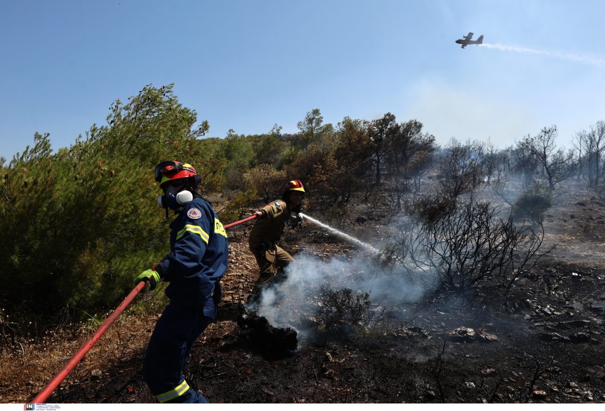 Μαραθώνας: Υπό έλεγχο η φωτιά στο Άνω Σούλι – Πιθανή αιτία για την εκδήλωσή της μια…καρακάξα