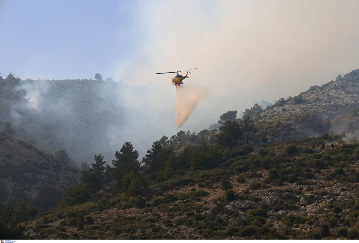 Πυρκαγιά στη Χίο: Δορυφορική εικόνα από τις καμένες εκτάσεις
