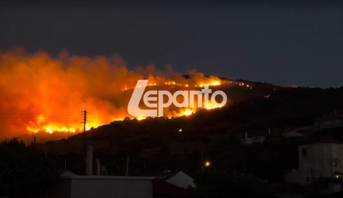 Ναύπακτος: Βίντεο ντοκουμέντο από τη στιγμή που ξέσπασε η φωτιά