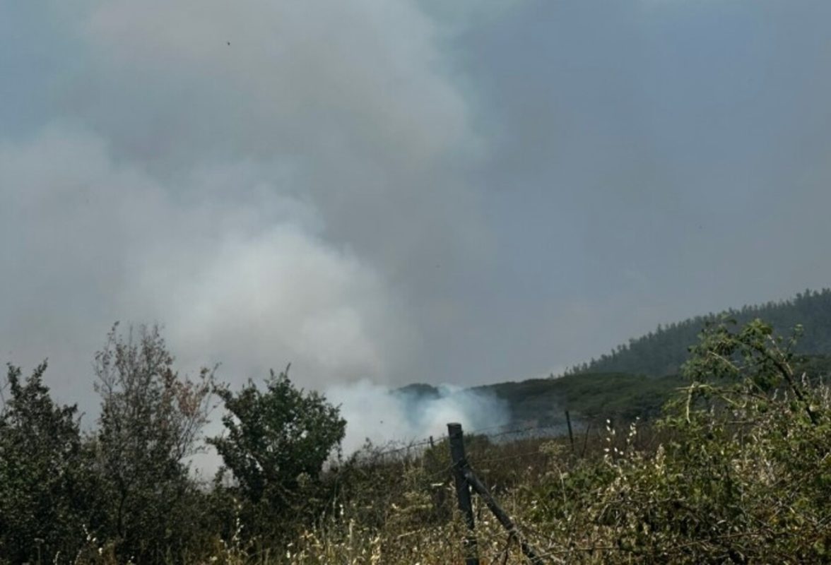 Θεσσαλονίκη: Σε εξέλιξη φωτιά στο Ωραιόκαστρο – Στη μάχη και εναέρια μέσα