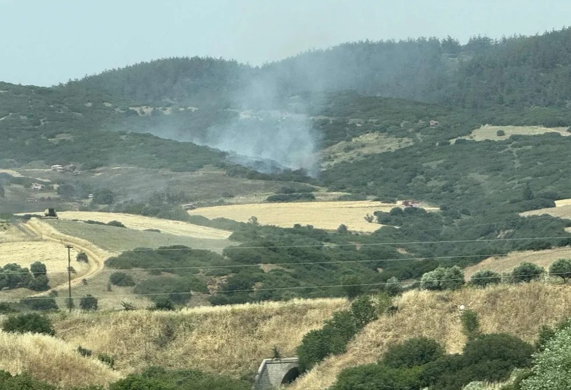 Θεσσαλονίκη: Υπό μερικό έλεγχο τέθηκε η φωτιά στο Ωραιόκαστρο