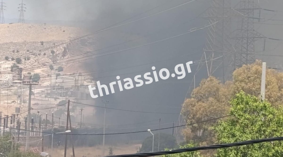 Ασπρόπυργος: Πυρκαγιά στα Νεόκτιστα – Αναφορές για καμμένα σπίτια