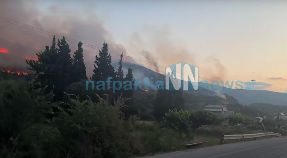 Αιτωλοακαρνανία: Μεγάλη φωτιά στον Πλατανίτη Ναυπάκτου – Ήχησε το 112 – BINTEO