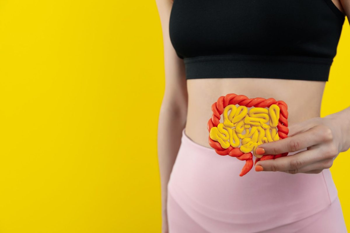 Πώς επηρεάζεται το έντερο από τη ζέστη – 5 τρόποι να το προστατεύσουμε