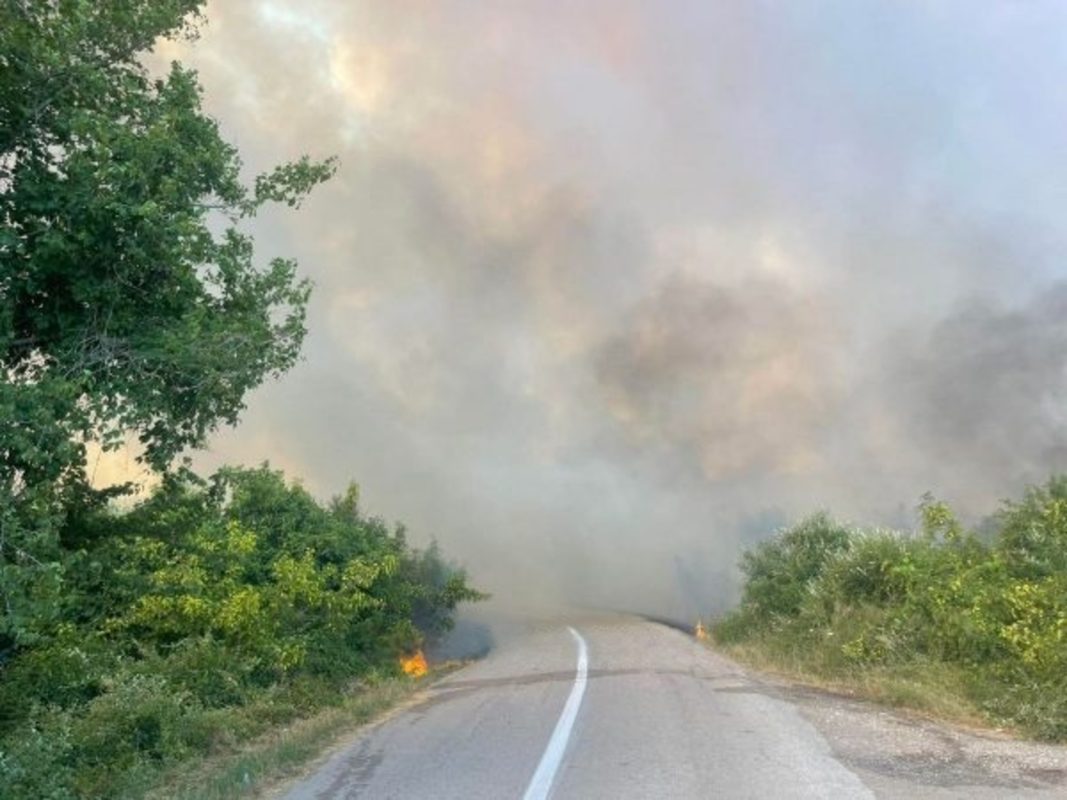 Φθιώτιδα: Σε εξελιξη φωτιά στην περιοχή Αχλάδι – Ήχησε το 112 – ΒΙΝΤΕΟ