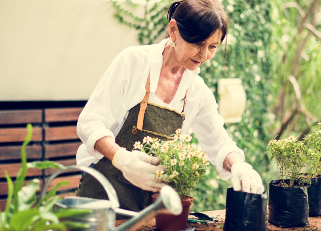 Το κόλπο με την ασπιρίνη στα φυτά – Πώς τα βοηθά και η σωστή δοσολογία