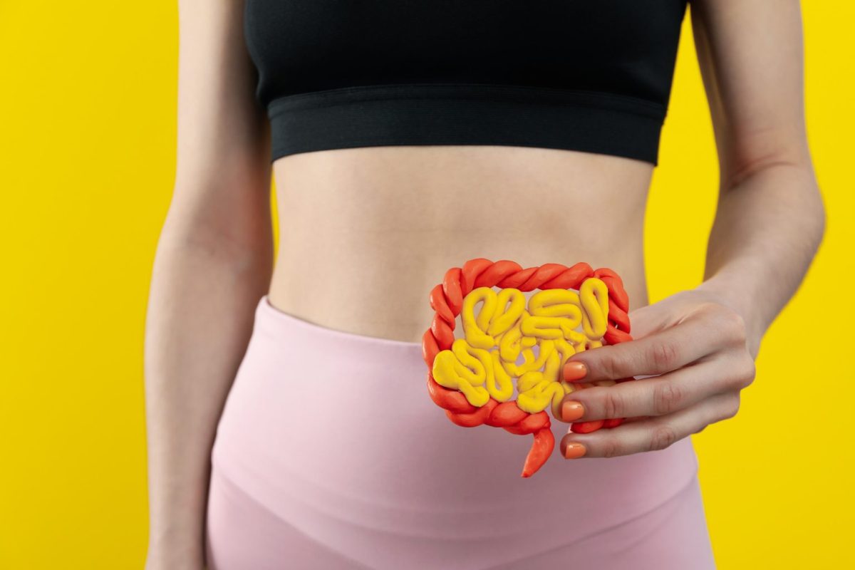 Πεπτικό σύστημα: Πού οφείλονται μετεωρισμός, φούσκωμα και δυσπεψία – Πώς αντιμετωπίζονται