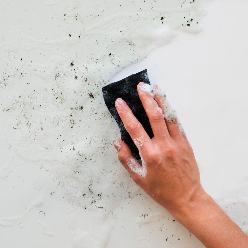 Μούχλα στους τοίχους: Η αόρατη απειλή για την υγεία – Μια απλή λύση σε μόλις 10 λεπτά