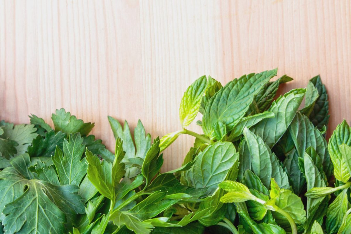 Το βότανο της ερωμένης του Άδη που ανακουφίζει το πεπτικό, βοηθάει με τη ναυτία και έχει παυσίπονη δράση