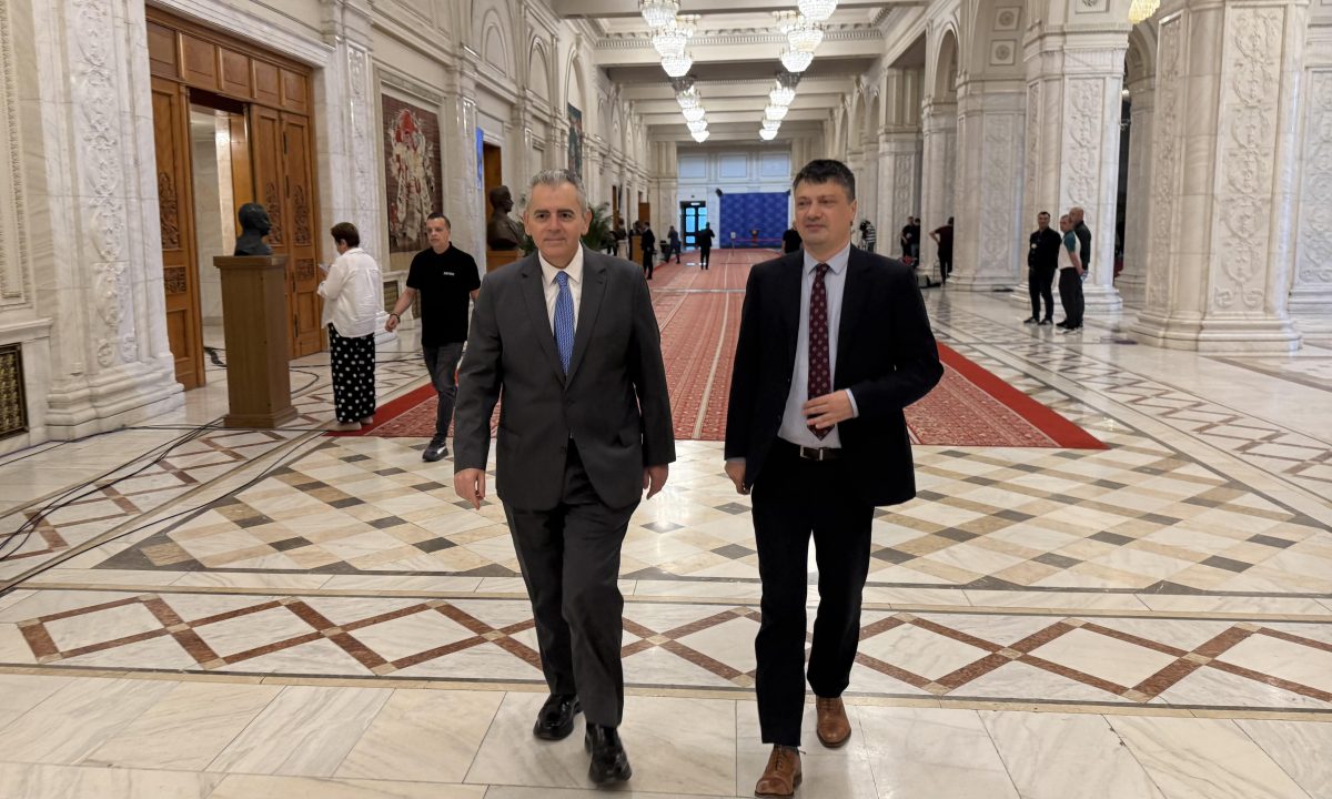 Με εισήγηση Μ. Χαρακόπουλου στη ΓΣ της ΔΣΟ στο Βουκουρέστι:  Ψήφισμα -Έκκληση Ορθοδόξων Βουλευτών για την Αγία Αικατερίνη του Σινά