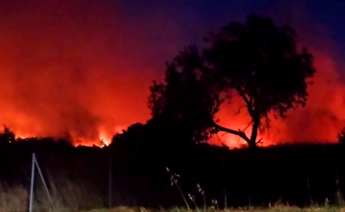 Χίος: Ολονύχτια μάχη με τις φλόγες – Κατέφθασαν και εθελοντές από Λέσβο – Στάχτη 62.000 στρέμματα