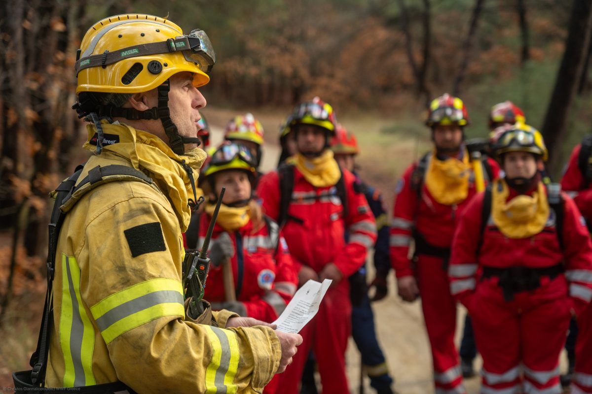 Οι εθελοντές στη μάχη για προστασία των δασών μας