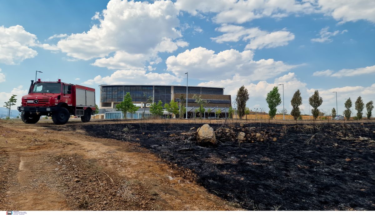 Κοζάνη: Υπό μερικό έλεγχο η φωτιά στην περιοχή Άργιλος