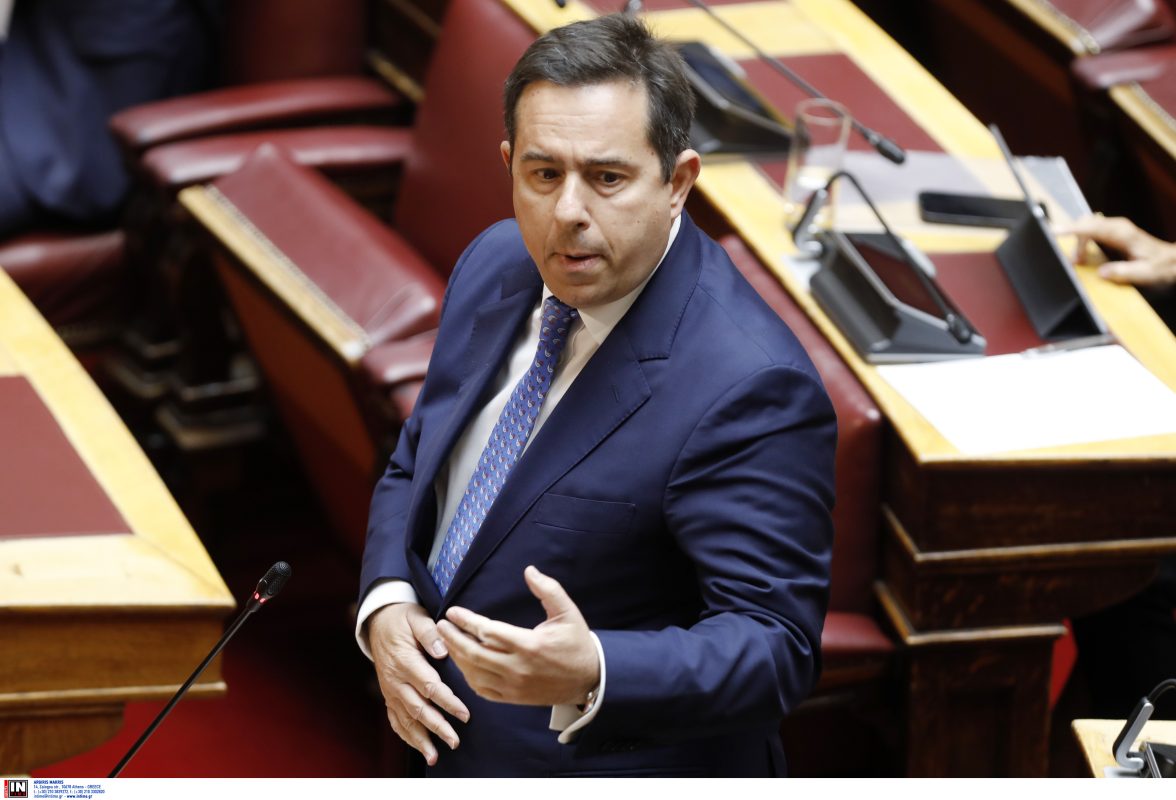 Μηταράκης: Η πρόεδρος του τρίτου Μνημονίου έχει αλλεργία στη δημοκρατία