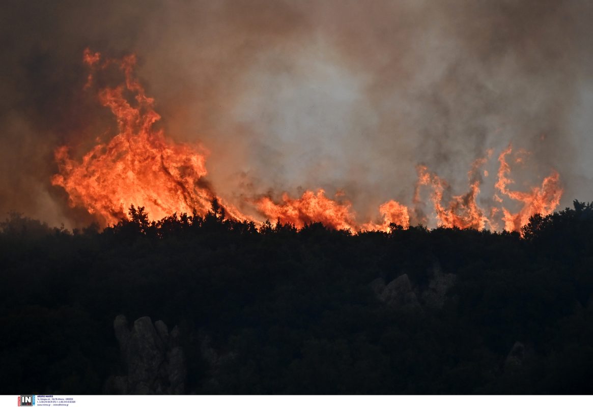 ΟΗΕ: Οι δασικές πυρκαγιές επιδεινώνουν την ποιότητα του αέρα σε απόσταση χιλιάδων χιλιομέτρων
