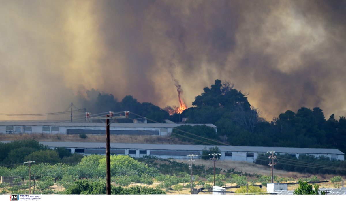 Ανεξέλεγκτα τα δύο μέτωπα της φωτιάς στην Εύβοια – Ανυπολόγιστες καταστροφές