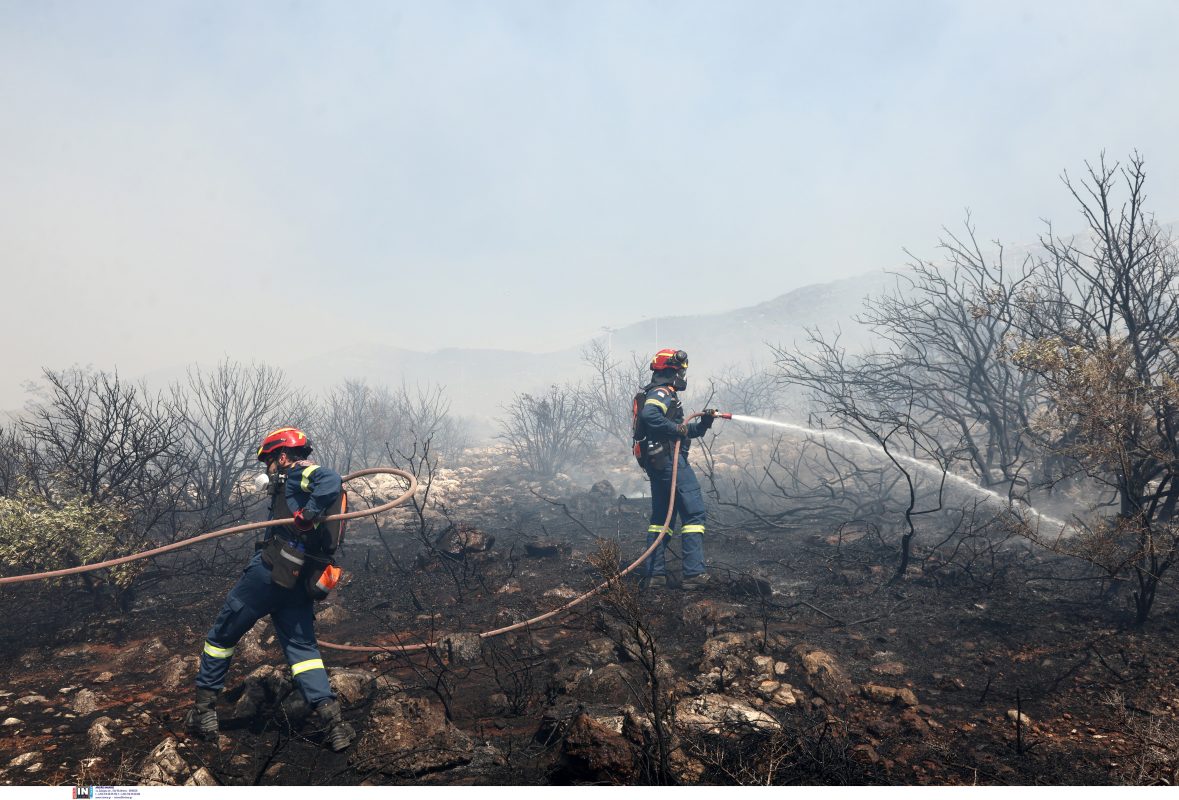 Φωτιά στην Πανεπιστημιούπολη: Μπουκάλι με βενζίνη βρέθηκε στο δάσος – Τι εξετάζουν οι Αρχές