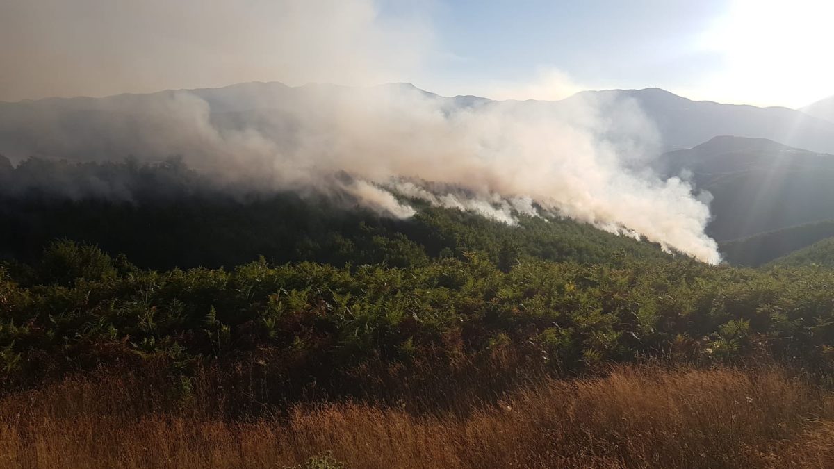 Βαλκάνια: Νέο κύμα καύσωνα, πυρκαγιές στη Βόρεια Μακεδονία και την Κροατία