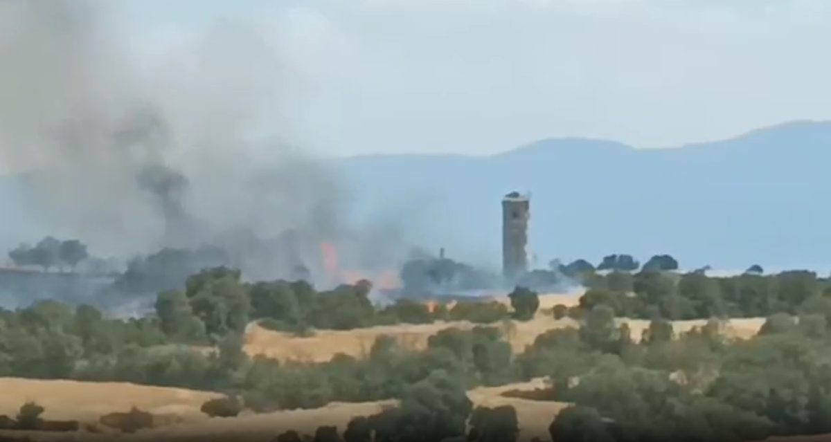 Σέρρες: Φωτιά σε εργοστάσιο ξυλείας στο Νέο Σούλι