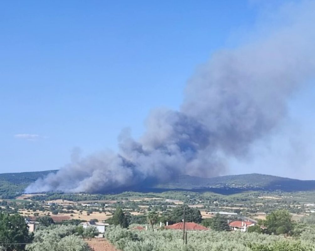 Ωρωπός: Φωτιά στο Ασπροχώρι – Μήνυμα από το 112 για απομάκρυνση – Εκτροπή κυκλοφορίας