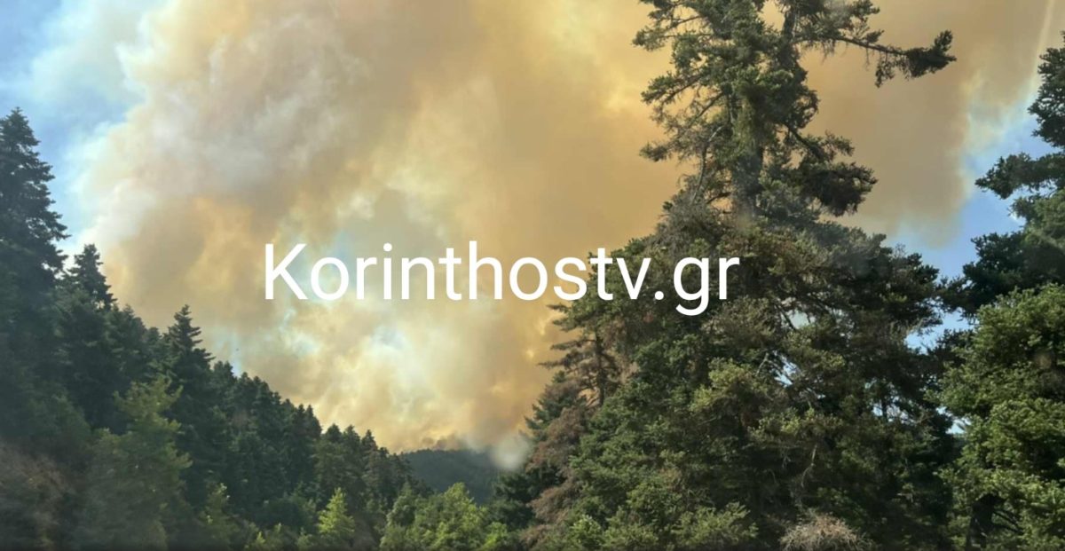 Κορινθία: Σε εξέλιξη η φωτιά στον Φενεό – Μήνυμα από το 112 για εκκένωση της περιοχής Καστανιά