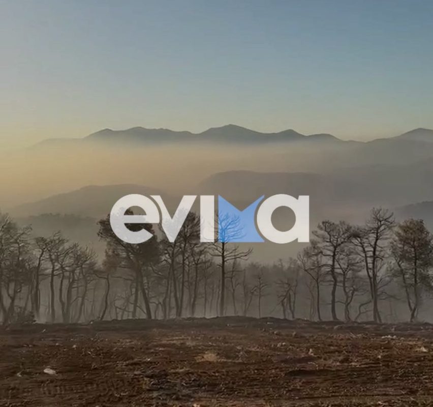 Πυρκαγιά στην Εύβοια: Ξεκίνησαν ρίψεις νερού από τα εναέρια μέσα