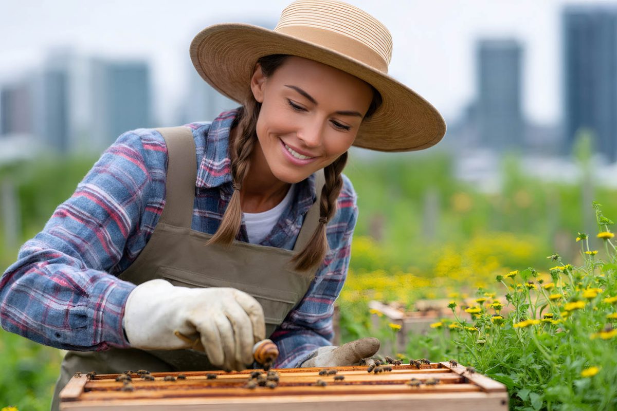 19 Ιουλίου: Από τις αστικές μέλισσες μέχρι ένα δροσερό daiquiri στο ποτήρι – Οι πιο πρωτότυπες γιορτές της ημέρας