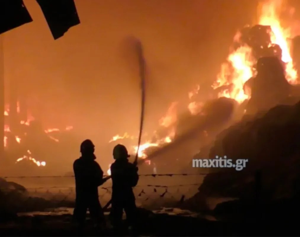 Κιλκίς: Στο εσωτερικό της κτηνοτροφικής μονάδας οι προσπάθειες κατάσβεσης της φωτιάς – Κάηκαν ζώα – ΒΙΝΤΕΟ