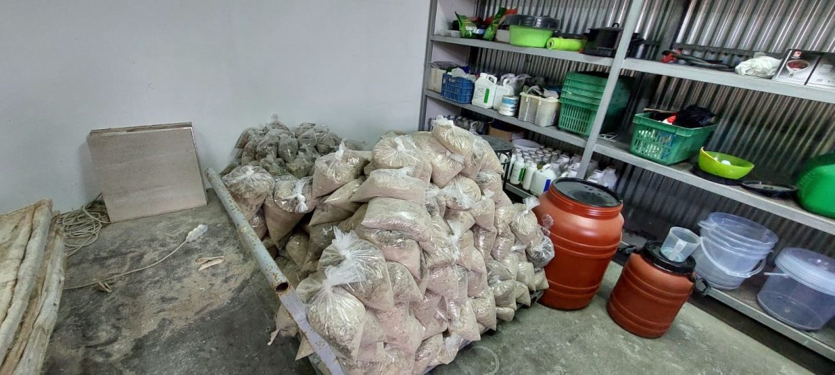 Εικόνες από την επιχείρηση της ΕΛ.ΑΣ. στην Αττική: Εβγαζαν κοκαΐνη από εμποτισμένα δέρματα