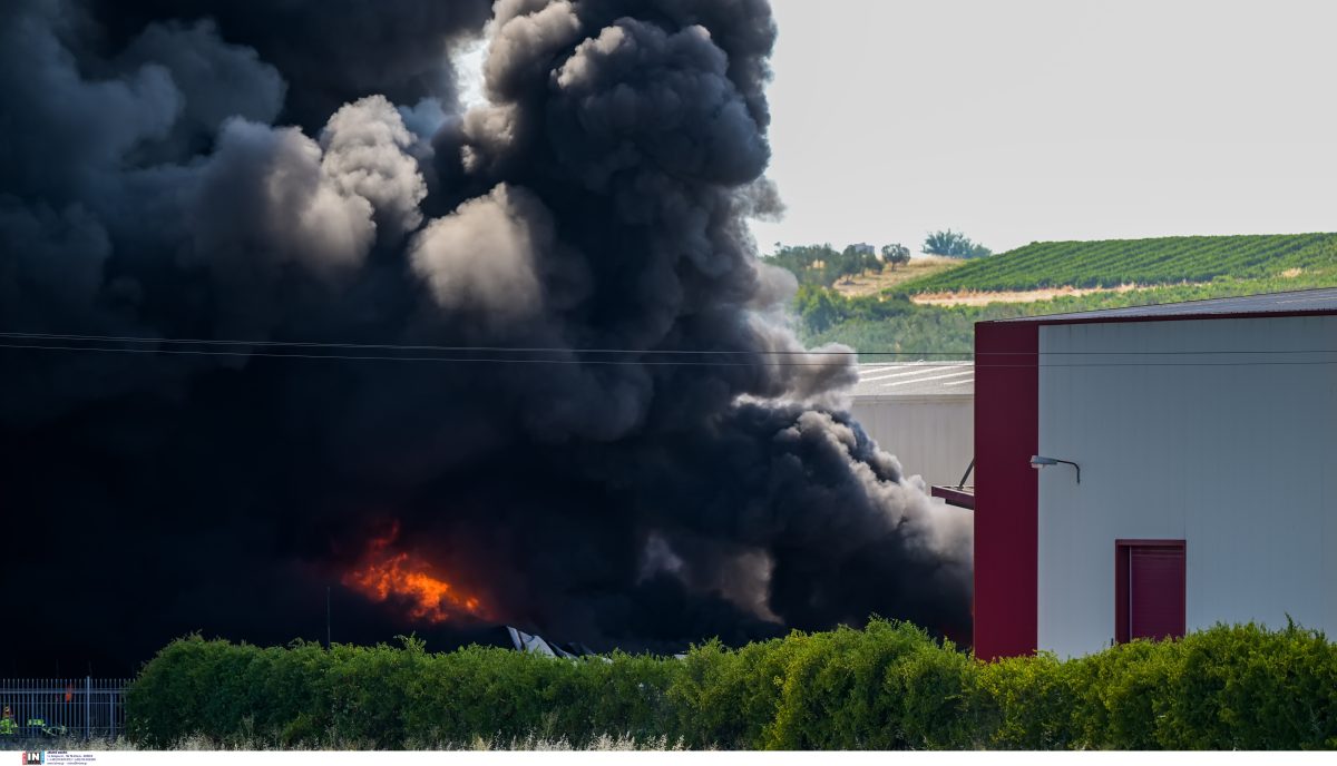 Μεγάλη πυρκαγιά σε εργοστάσιο στη Ριτσώνα – Μήνυμα από το 112 – ΕΙΚΟΝΕΣ