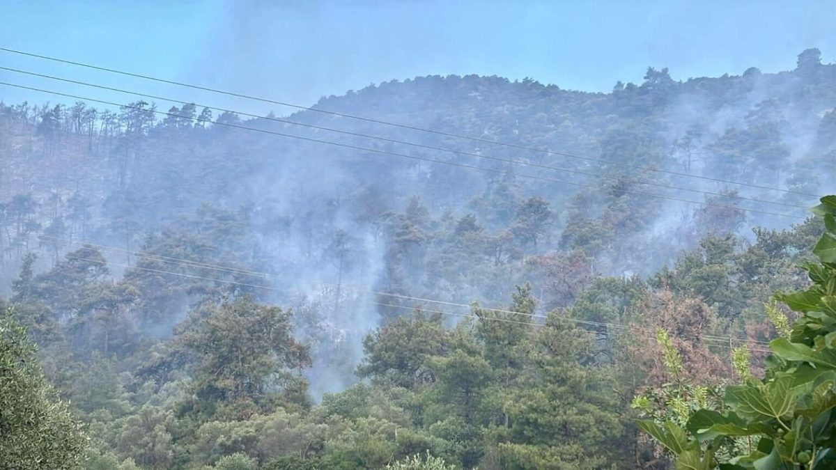 Σε ύφεση η φωτιά στη Θάσο – Επιχειρούν εναέρια μέσα