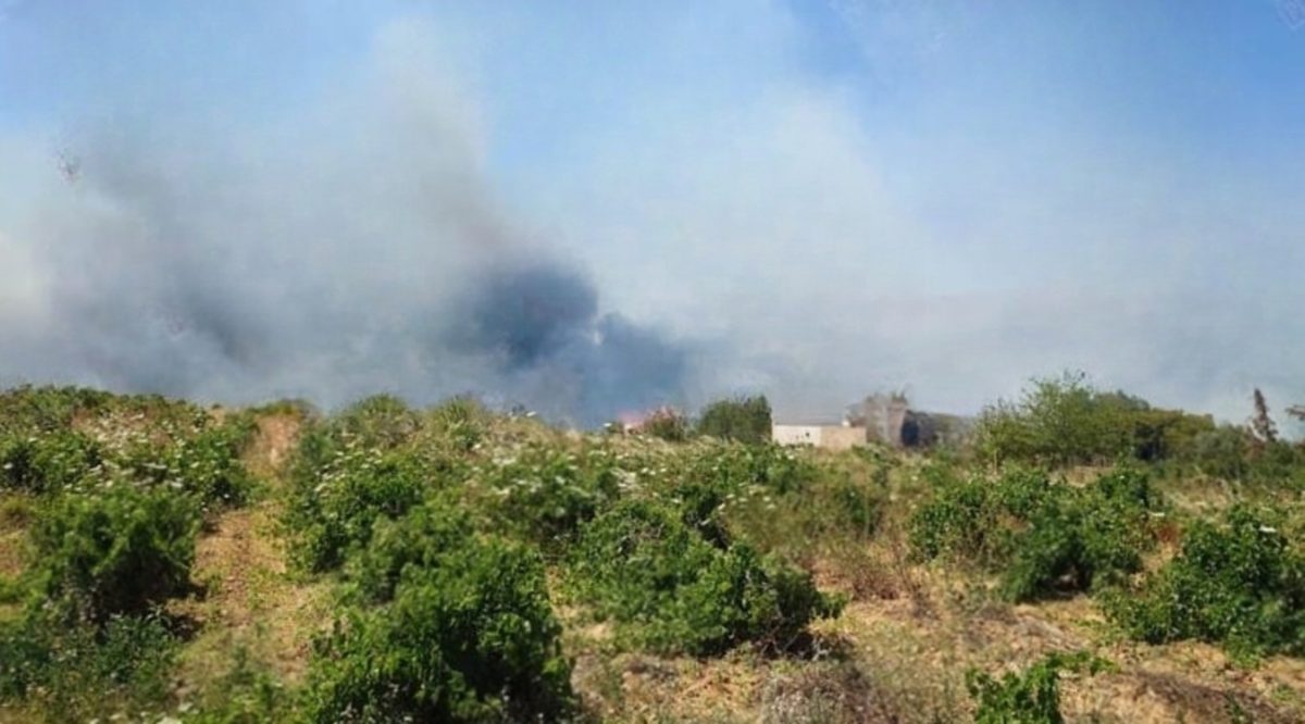 Φωτιά σε Πικέρμι-Σπάτα: Αναφορές για ζημιές σε σπίτια, 51 απεγκλωβισμοί