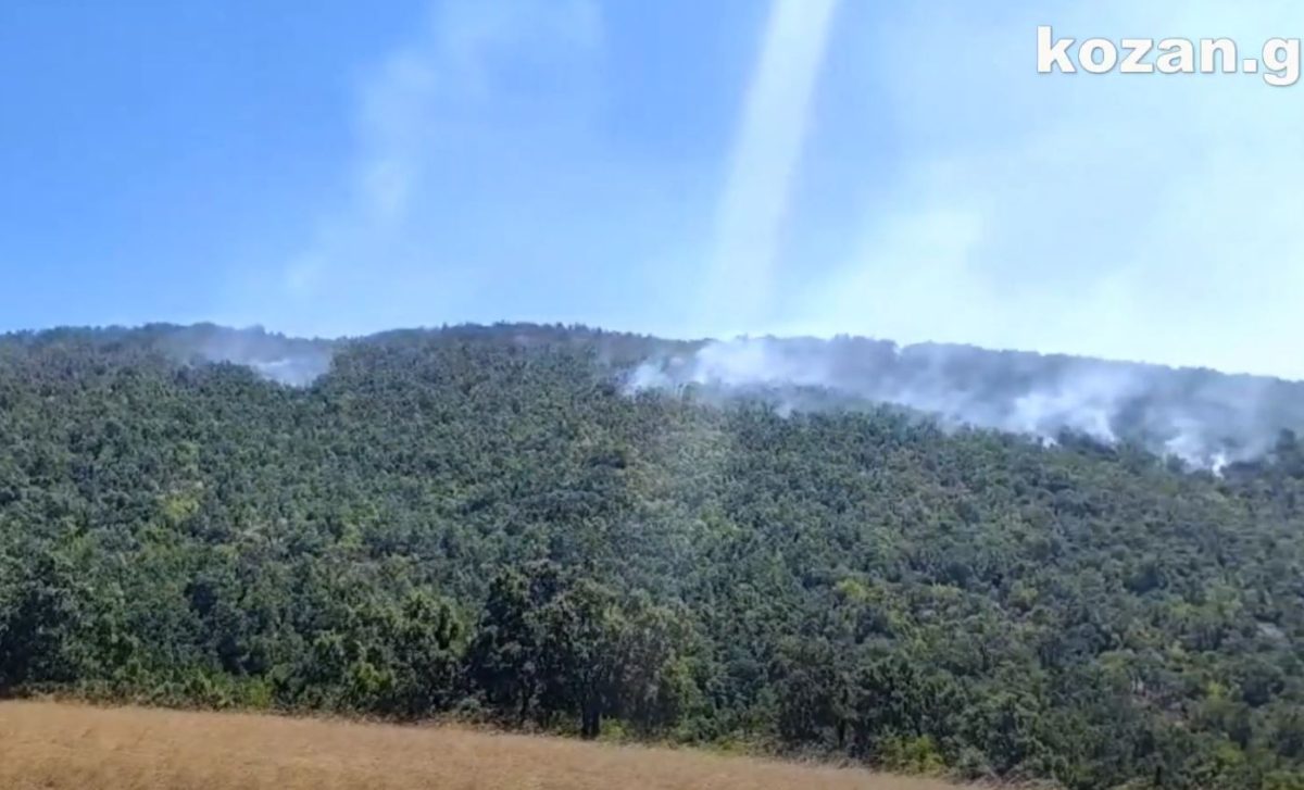 Αναζωπυρώθηκε λόγω των ανέμων η φωτιά στα Λιβερά Κοζάνης