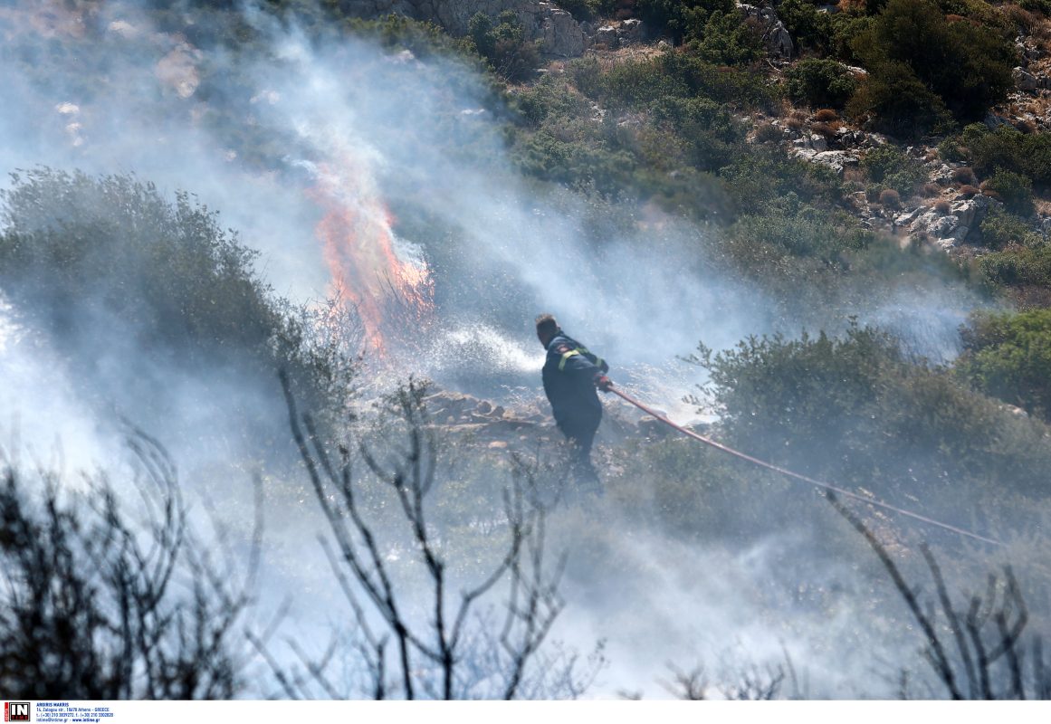 Πυρκαγιά στην Ανατ. Αττική: Εντοπίστηκε γκαζάκι στον Άγιο Νικόλαο, λέει ο αντιδήμαρχος Σαρωνικού