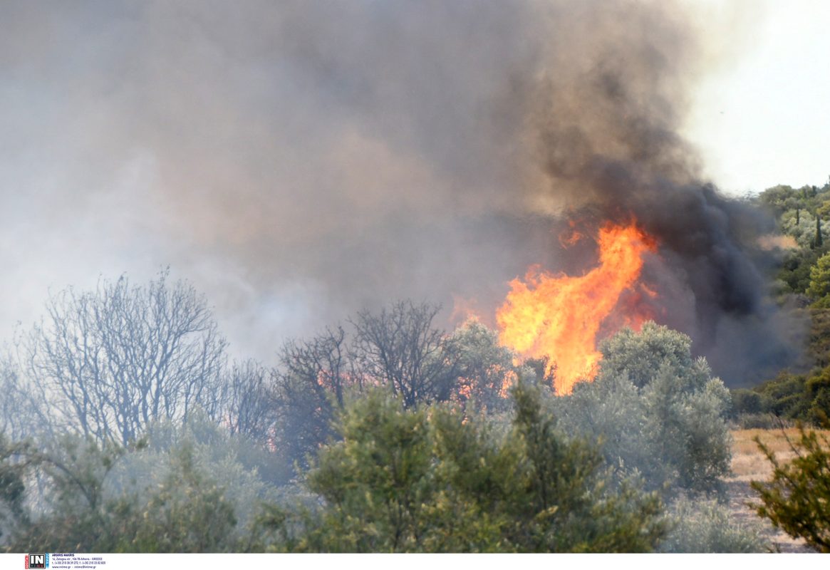 Πολιτική Προστασία: Άνεμοι με ριπές 9 μποφόρ πνέουν στην Αχαϊα – Τρεις πυρκαγιές σε εξέλιξη