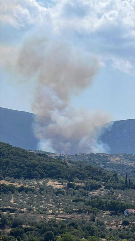 Πυρκαγιά στην Αργολίδα