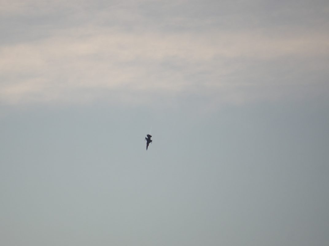 Πολωνία: Αεροσκάφος F-16 συνετρίβη στο Ράντομ, ο κυβερνήτης του σκοτώθηκε – BINTEO