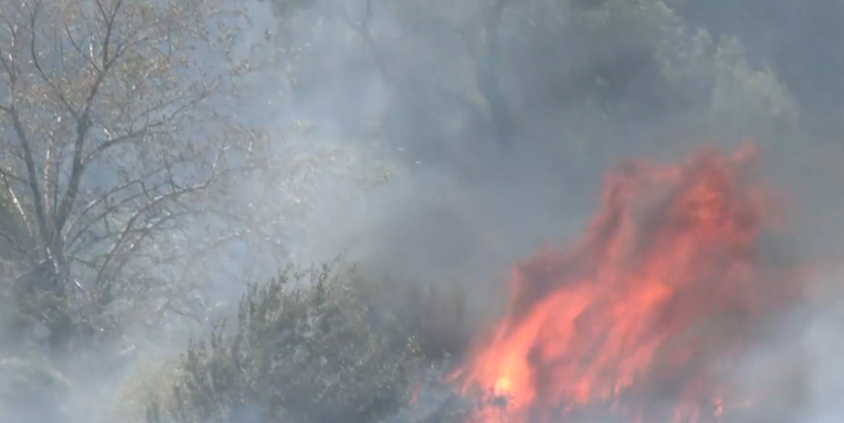Σε εξέλιξη η φωτιά στην Πρέβεζα – Νέο μήνυμα του 112 για εκκένωση οικισμών