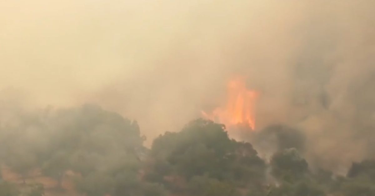 Σε εξέλιξη η πυρκαγιά στα Πετράλωνα Μεσσηνίας – Ενισχύθηκαν τα εναέρια μέσα