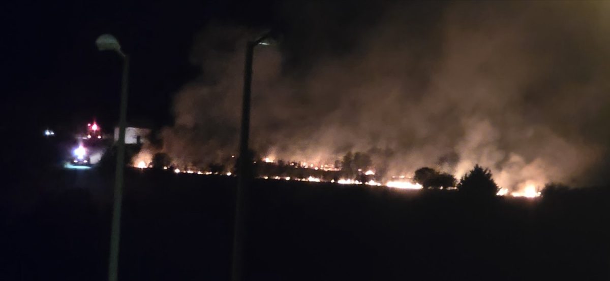 Λάρισα: Πυρκαγιά κοντά στο Νέο Κοιμητήριο και τις Φυλακές της πόλης