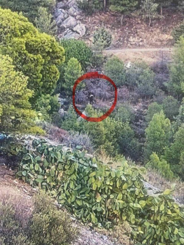 Βίντεο ντοκουμέντο: Η στιγμή που ο 32χρονος βάζει φωτιά στον Υμηττό – Είχε επιτεθεί σε ανήλικες στο Αιγάλεω